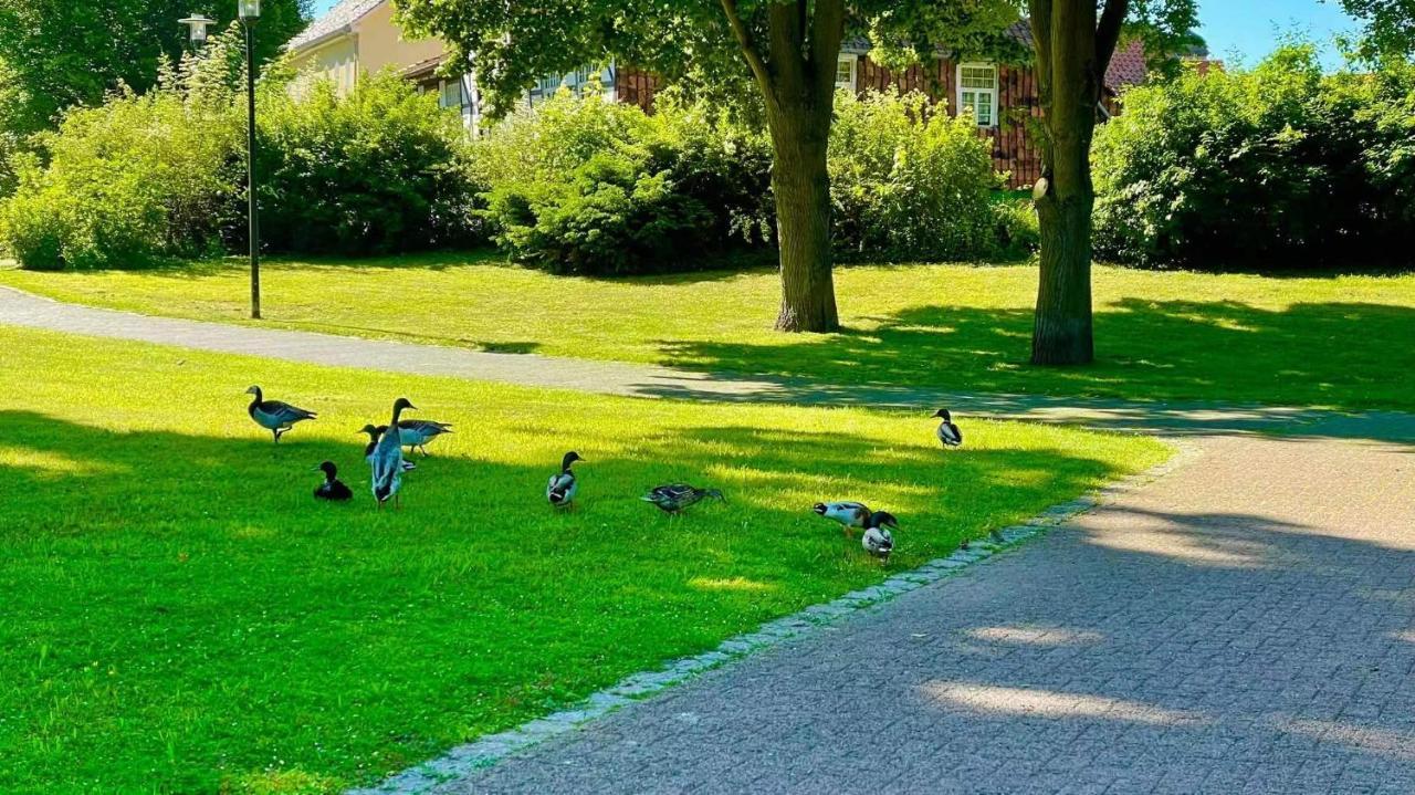 Gaestehaus Ambiente Am Kurpark 바트순덴알렌도르프 외부 사진